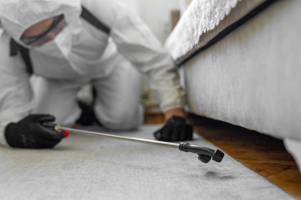 Professional Wasp Control technician working in Sleepy Hollow Lake, NY
